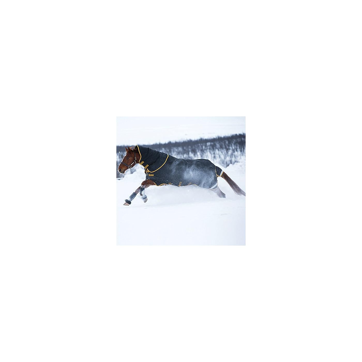Horse ‘n’ Pony