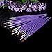 Anself Nail Art Design Painting Tool Pen Polish Brush Set Kit DIY Professional Purple (19pcs)