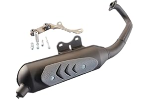 Polini Original Auspuff für SR 50cc 2-Takt (Piaggio Motor) – Straßenzulassung, Komplettset mit Schalldämpfer & Hitzeschutz