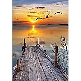 ✿✿Material: Strass + Leinwand✿diamantpaste kaufen bilderständer metall stifte für stoff 5d diamant mosaik 5d kreuzstich 5d diamond the white diamond schmetterling spiele diamant aufkleber diamant bilder wohnzimmer serie stoff für kreuzstich kreuzstichpackungen günstig stickvorlage buchstaben diamond painting anleitung kreuzstich set kaufen leinwand hochzeit malen stickvorlagen kreuzstich kindermotive stahlstifte diamant basteln diamanten zum basteln malen nach zahlen rosen diy diamond