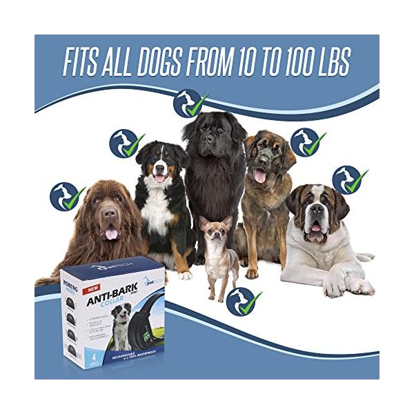 Pet Union No Bark Dog Collar, Stop Dogs Barking with Sound & Vibration