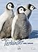 Tierkinder 2017 - Baby Animals, Tierkalender 2017, Posterkalender, Wandkalender, Fotografiekalender - 24 x 33 cm by