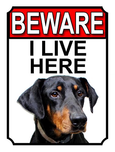 Shawprint BEWARE I LIVE HERE METAL GATE SIGN DOBERMAN PINSCHER 200MM X 10MM (1059H1)