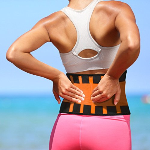Armor Belt Sport-Gürtel Rückenstütze mit orthopädischer Wirkung Rückenbandage S-XL - 5