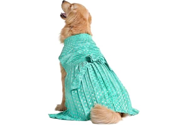 Barks & Wags Pet Dog Lehenga Ethnic Dogs Elegant Costume, Party Birthday Dress for Female Dogs (Turquoise, XL)