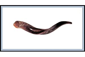 SHOFARS FOR SALE New 22" Yemenite Shofar Kudu Horn Polished Kosher Music