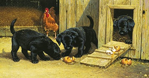 Preisvergleich Produktbild SunsOut 60630 - Lamb: Hunde treiben Unfug - 300 Teile Puzzle