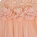 iiniim Baby Girls Flower Straps Mesh Party Wedding Christening Princess Dress Sundress Coral Pink 6-9 Months