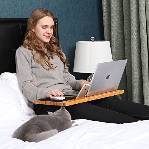 SONGMICS Laptop-Scho  tablett Laptoptisch Laptop Unterlage Lapdesk Notebooktisch Betttisch LLD560