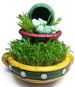 Blue Bird Do It Yourself Micro Gardening Complete Set