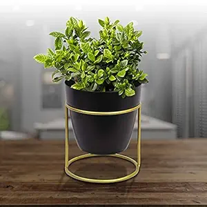 Urban Plant Modern Metal Planter with Golden Stand, Small (Black)