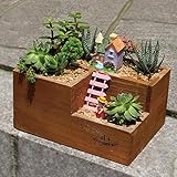 ▲ Macetas para interiores y exteriores: la forma simple del espacio de exposición agrega tamaño y diversidad visual para el espacio al aire libre, y convierte su hermoso jardín y sala en un paraíso de plantas naturales lleno de espacio entrelazado y rico sentido. Adecuado para: plantas suculentas, narcisos, cactus, rosas, lirios, tulipanes, margaritas y así sucesivamente.