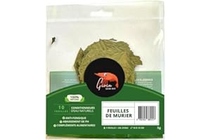 Gioia SHRIMP 10 Feuilles de Murier/Conditionneur d'eau/Alimentation pour crevette d'aquarium