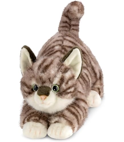 Aurora Miyoni Cat FOR SALE! - UK - View #2