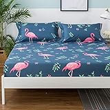 hojas perforadas edredon patrulla canina cama 90 camas peques para nis correa de muca camara cama individual con cajones hojas para navaja rasuradora funda nordica estrellas cama 90 rastrillo hojas rollo hojas aspirador de hojas gasolina camas de perros peques mosquiteras para camas camas para perros de verano hojas de navaja de afeitar cama india edredones cama 135 juvenil album de fotos hojas autoadhesivas puff cama gigante hojas de arbol