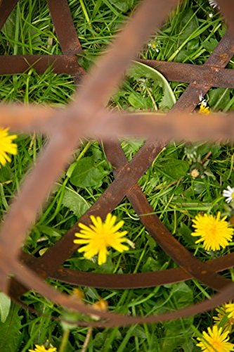 Dekokugel, Rost Ø 40cm Bando, groß - 6