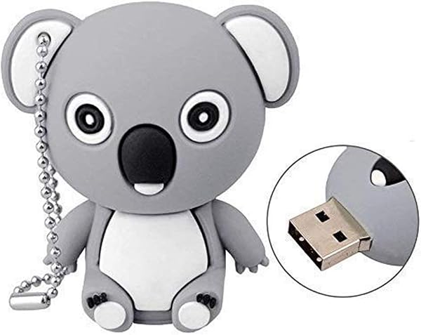 Ulticool – Koala Ours 16 Go Mémoire Stick - Clé Design Unique et Original – 16 GB USB Flash Drive - Excellent Cadeau d' Anniversaire Garçon File - Gris Blanc - 1