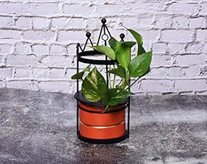 HINS Orange Crown Cage Polka Metal Round Shape Flower Plant Pot With Stand Metal Pots For Indoor Plants I Elevated Garden Planter I Raised Planter I Desk Plant I Raised Planter Box I Ascent Homes Metal Planter I Raised Planter Box With Legs I Brass Pots For Indoor Plants I Golden Planter I Mid Century Plant Stand I Brass Planters For Indoor Plants I Indoor Plant Stand For Living Room I Metal Planters Pot For Indoor Plants designer pots for indoor plants