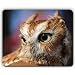 Produktbild (Augen Mausunterlage) Qualitätsmausunterlage, Eulenfleischfresservogelaugen, Spiel-Büro Mousepad