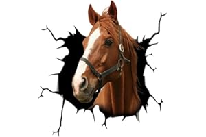 SHTGOI Adesivo 3D con testa di cavallo, decorazione per auto, carrozzeria e lunotto posteriore, adesivo decorativo per finestrini auto, laptop, frigorifero, 30 x 30 cm