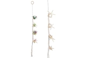 MISNODE Supports de plantes aériennes à suspendre, fait à la main, corde tissée tilandsia pour plantes, cloison à suspendre en coton pour pots de fleurs