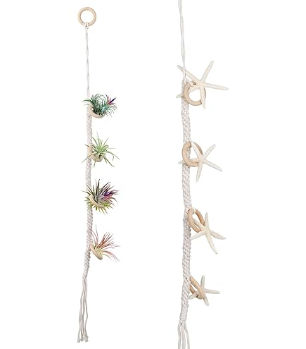 MinnowXY Soporte Para Plantas De Aire, 3 Tamaños, Contenedor De Plantas De Aire, Soporte De Flores De Hierro, Soporte Para Tillandsia, Color Negro