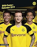 Borussia Dortmund Posterkalender - Kalender 2019 by 