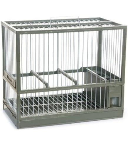Arquivet Vogelhaus Sassari – 100x60x176,5 Cm, Mit 4 Rollen | Großes Vogelhaus Für Papageien & Exoten
