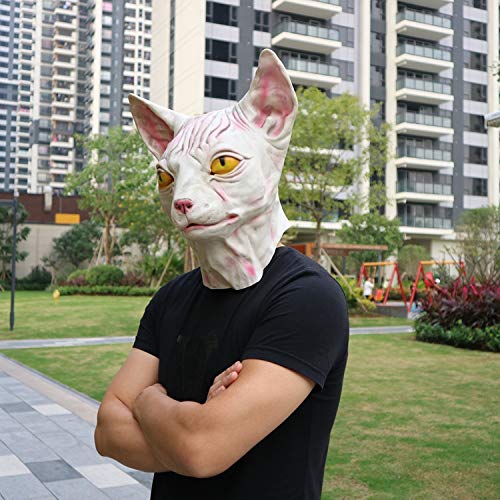 DHLZ Elefante Orangutan Maschera per Gatto Adulto Animale Copricapo Codice Medio Senza peli Cat