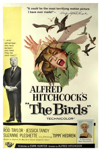 Preisvergleich Produktbild Die Vögel Film Poster Alfred Hitchcock