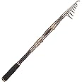 PLUSINNO Fishing Rod and Reel Combos Carbon Fiber Telescopic Fishing Pole with Reel Combo Sea Saltwater Freshwater Kit Fishing Rod Kit
