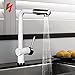 Produktbild Homelody Niederdruck Küchenarmatur Wasserhahn herausziehbar armatur mit Brause Niederdruckarmatur Spültischarmatur Einhebelmischer Spültisch Küche Mischbatterie