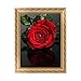Produktbild rawuin DIY 5D Diamant Stickerei Rose Flower Painting Kreuzstich Art Craft Home Decor (# 994)