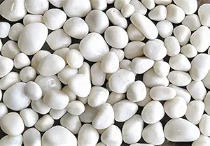 Bum Bum Bhole 50Kg Natural Polished Pebble Stones (White Polished) Terrarium|Succulents|Garden Pots|Gardening|Bamboo Plants & Multi Purpose Pack