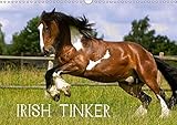 Irish Tinker (Wandkalender 2018 DIN A3 quer): Pferde des fahrenden Volkes (Monatskalender, 14 Seiten ) (CALVENDO Tiere) [Kalender] [Apr 01, 2017] Wejat-Zaretzke, Gabriela by 