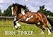 Irish Tinker (Wandkalender 2018 DIN A3 quer): Pferde des fahrenden Volkes (Monatskalender, 14 Seiten ) (CALVENDO Tiere) [Kalender] [Apr 01, 2017] Wejat-Zaretzke, Gabriela by 