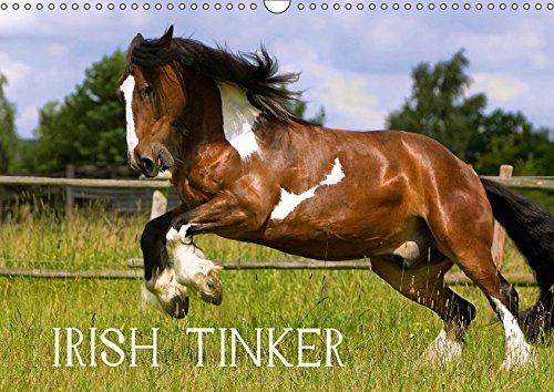 Irish Tinker (Wandkalender 2018 DIN A3 quer): Pferde des fahrenden Volkes (Monatskalender, 14 Seiten ) (CALVENDO Tiere) [Kalender] [Apr 01, 2017] Wejat-Zaretzke, Gabriela