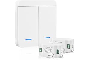 HOME HOLIC Interruptor De Luz Por Radio 10A 230V Juego De Interruptores De Luz Por Radio 200-2000w Pulsador Inalámbrico De Fácil Instalación (2 Receptor + 1 Interruptor)