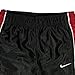 Nike Toddler Dri-Fit Mesh Sport Pants Size 3T Black