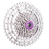 --- Verschleißfest, lange Lebensdauer.