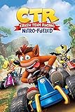 Póster Crash Team Racing CTR - Nitro Fueled
