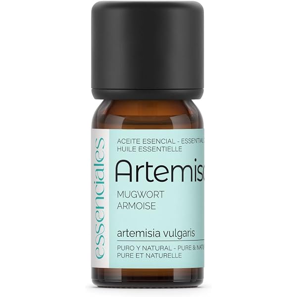Erboristeria Magentina Ätherisches Öl Artemisia 10 Ml – 100% Rein, Für Lebensmittel & Aromatherapie