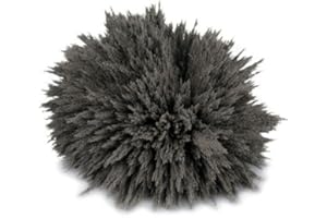 THE MAGNET SHOP magnets4you Eisenpulver 100g | Eisenspäne für magnetische Experimente, sichtbare Magentfeldkennlinien | Magnetismus erklären für z.B. Schule/Unterricht/Physik