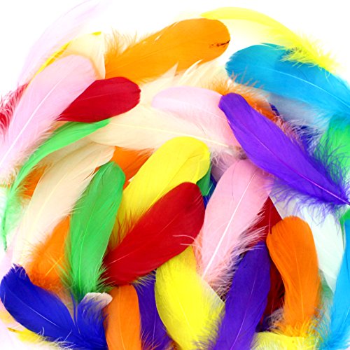 Coceca 150 Stück Bunte Federn12-18cm (4,7-7 Zoll) für Kunst und Handwerk