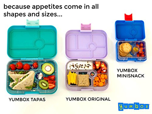 Yumbox Mini Snackbox (Cannes Blue) – Kinder Bento-box, auslaufsicher und 3 untereinander dichte Fächer, Brotdose mit Unterteilung für Krippe, Kita, Snack Unterwegs - 4