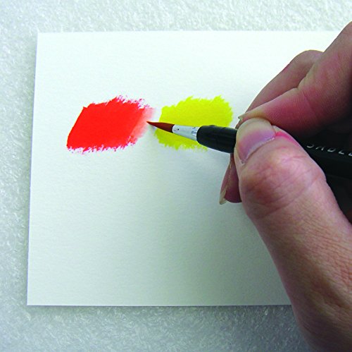 AKASHIYA Fude Pinselstift shin-mouhitsu Tinte (sa-300) 20 Color Set - 7