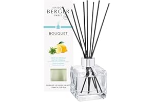 PARFUM BERGER Berger Perfume, difusor de habitación con varillas en un cubo transparente Verbena Peel ZESTE DE VERVEINE TRANSPARENT transparente