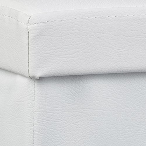 Relaxdays Hundebox Sitzhocker HBT 38 x 38 x 38 cm stabiler Sitzcube mit praktischer Tierhöhle für Hunde und Katze aus hochwertigem Kunstleder und Deckel zum Abnehmen für Ihren Wohnraum, weiß - 6