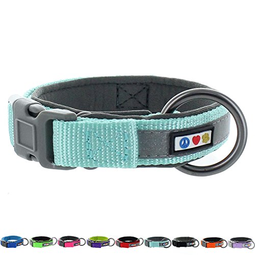 Pawtitas Collar para Perros Ajustable, Reflectante, acolchonado Talla Mediano/Grande Color Turquesa