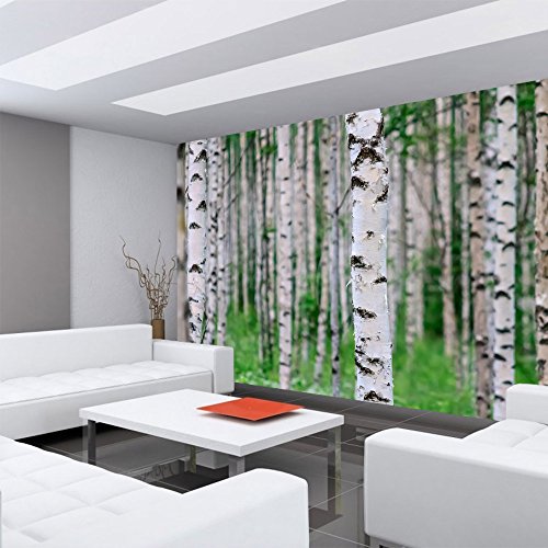 Vlies Fototapete 300×210 cm PREMIUM PLUS Wand Foto Tapete Wand Bild Vliestapete – BIRCH FOREST no.2 – Birkenwald Natur Wald Bäume Baum Forest Herbst – no. 081 - 6